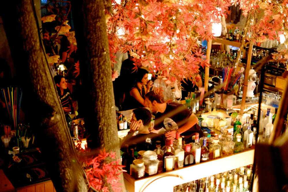 Six d.o.g.s – A Cultural Playground with a Cigar-Friendly Edge