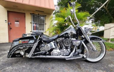 Harley-Davidson Softail 2007. Ornate Steed
