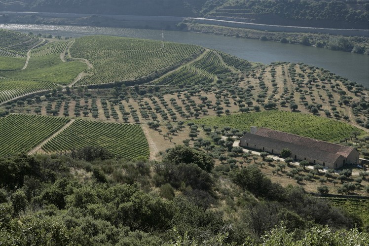 Quinta do Vale Meão, Portugal, is set amid vineyards cascading toward the Douro River. Photos: Quinta do Vale Meão