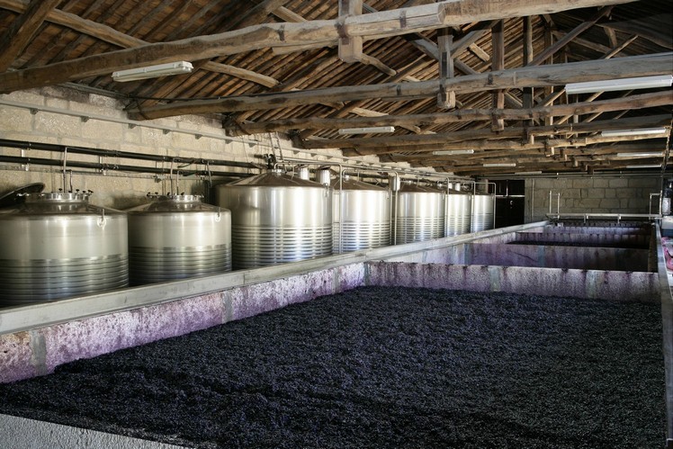 Photos: Quinta do Vale Meão