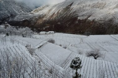 Ao Yun Winery, China