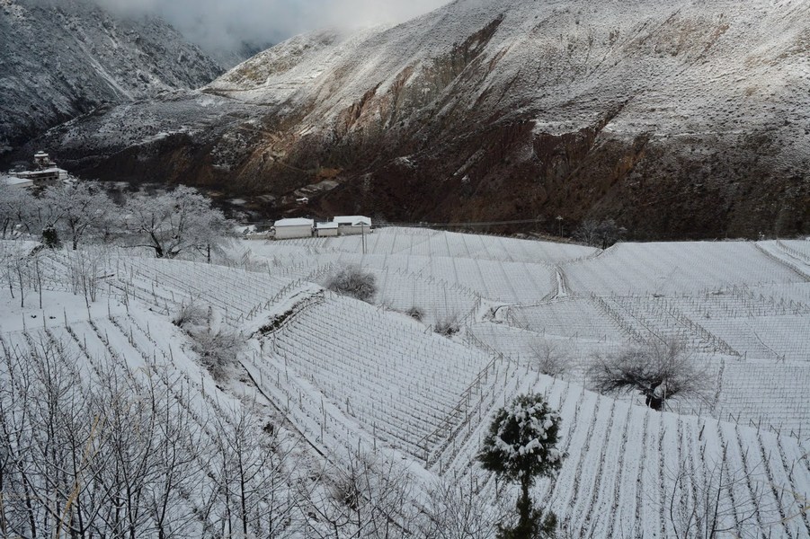 Ao Yun Winery, China