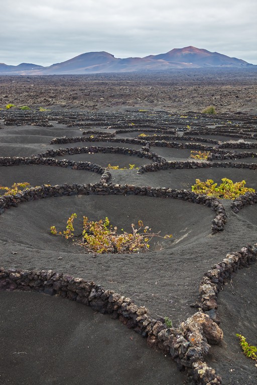 El Grifo Winery – Lanzarote, Spain. Photography: Shutterstock