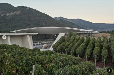 VIK Winery, Chile