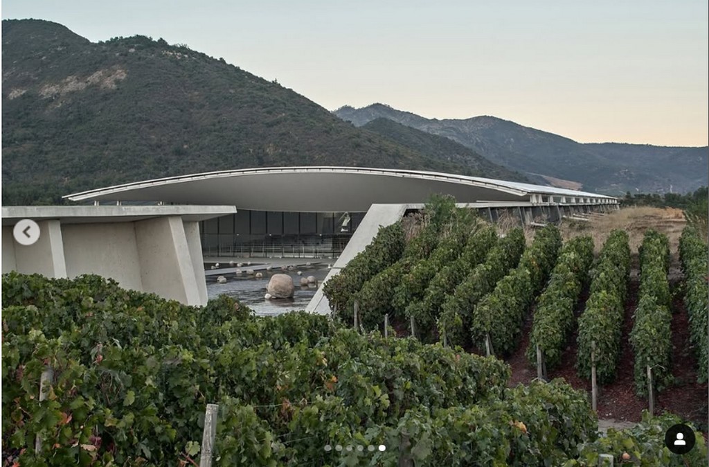 VIK Winery, Chile