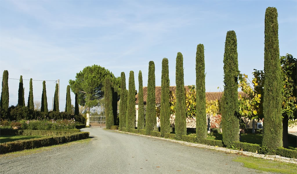 Fattoria Le Pupille