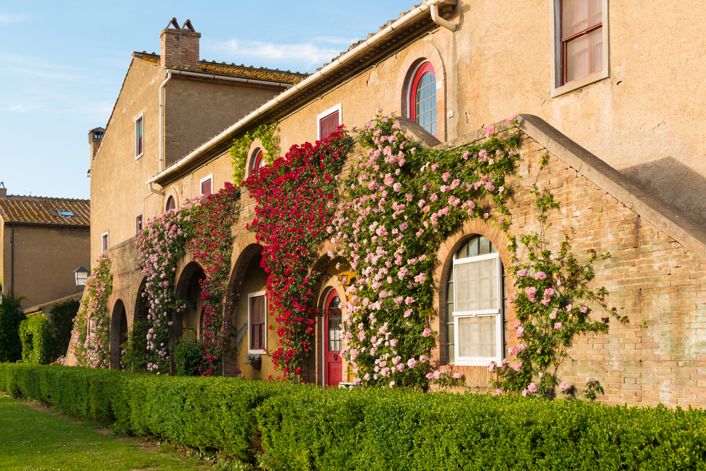 Tenuta San Guido. Photo: Shutterstock